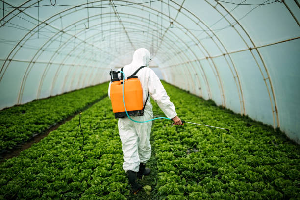 Best Best Pest Control Companies  in Willis, TX