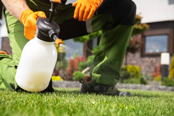 Best Residential Pest Control  in Willis, TX