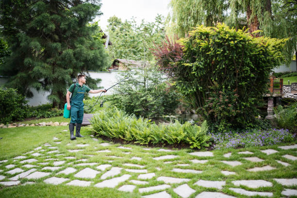 Best Pest Prevention Services  in Willis, TX