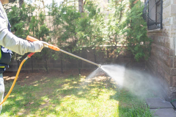 Best Affordable Pest Control Services  in Willis, TX